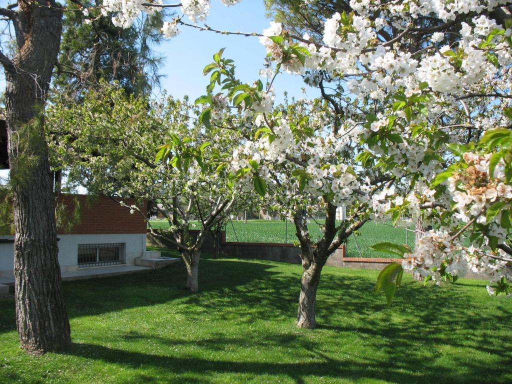 Bed & Breakfast Bompadre Civitanova Marche Bagian luar foto