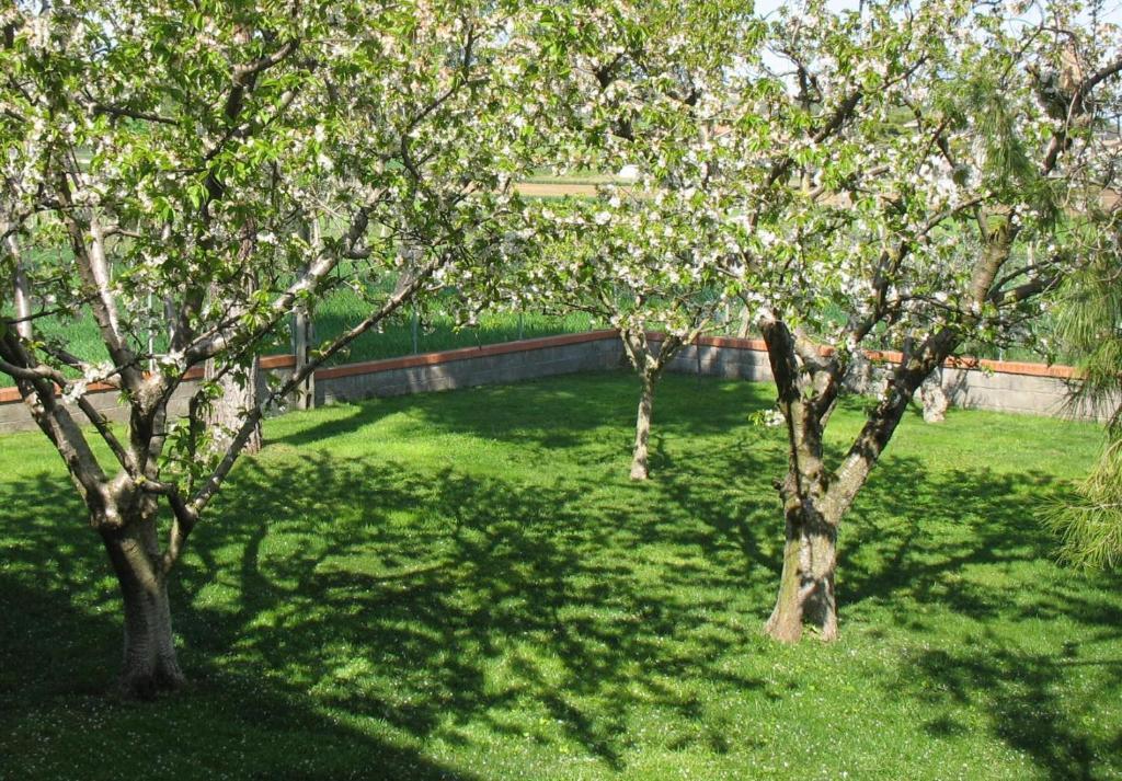 Bed & Breakfast Bompadre Civitanova Marche Bagian luar foto